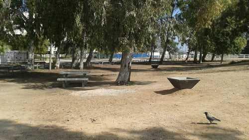 הפילבוקס בחולון. גם כאן צריך להיזהר בעונת הנחשים