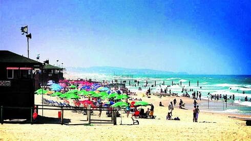 חוף ראשון לציון. איפה חונים? (צילום: אבי מועלם ) חוף ראשון לציון. איפה חונים?