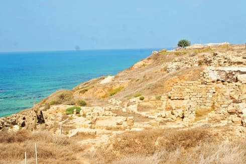 אפולוניה