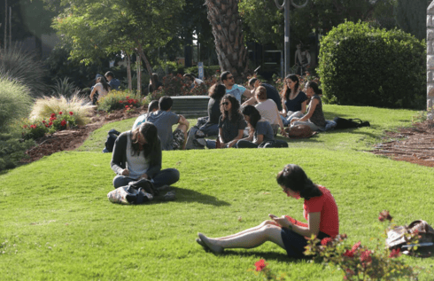 סטודנטים באוניברסיטה העברית