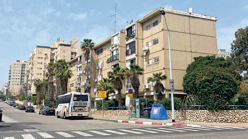 רחוב דליה היום