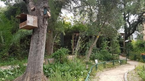 גן רנה סמילנסקי | צילום: אביגיל קדם