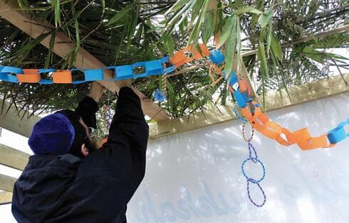בונים סוכה