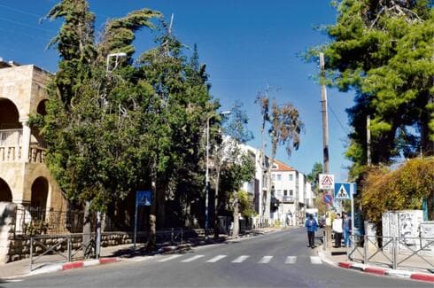 רחביה
