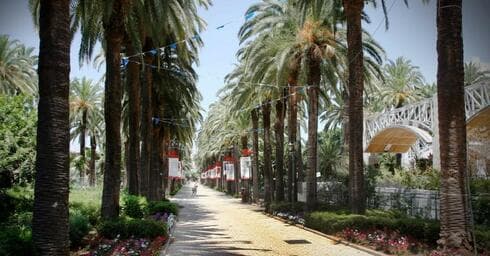 גן המושבה ראשון לציון | צילום אבי מועלם