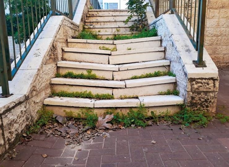 "לאנשים מהיישוב אין כלים לבצע משימות של עירייה". שטח פתוח פרטי ברחוב חטיבת גולני