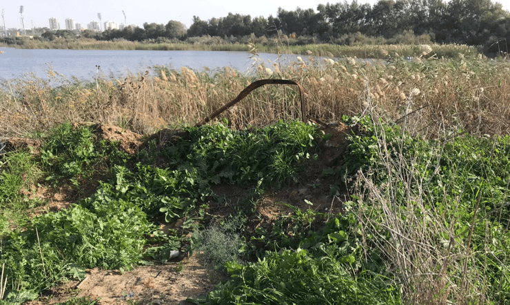 ההזנחה באגם הסופרלנד בראשון לציון