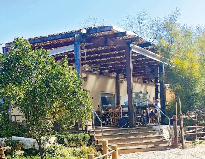 ג'ויס. לכל הפוקאצ'ות והרוחות