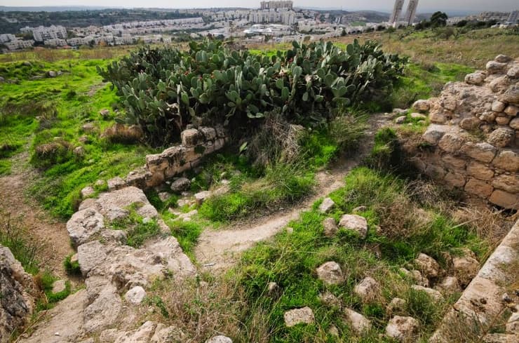 המסדרון האקולוגי הופך לדק, אפילו דקיק 