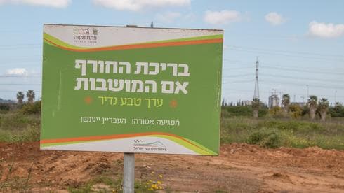 שלולית החורף בפתח תקוה