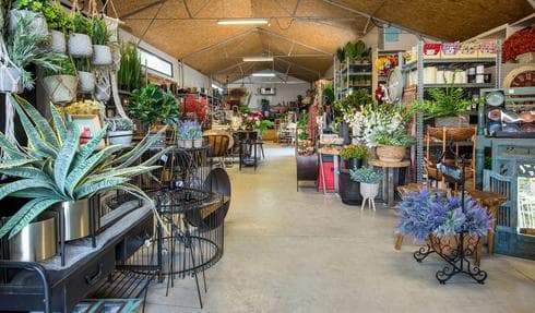אינדיגו MARKET
