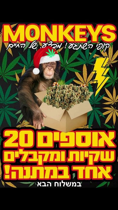 צוות מאנקיז