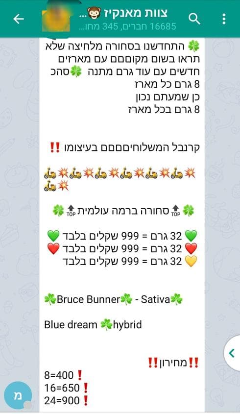 צוות מאנקיז
