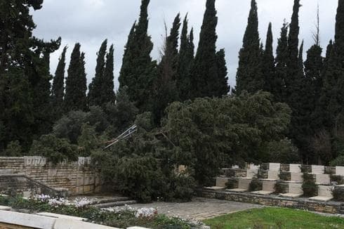 תוצאות הסערה