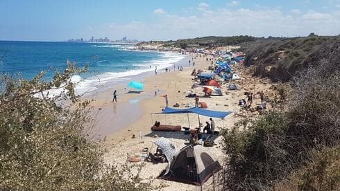 חוף פלמחים