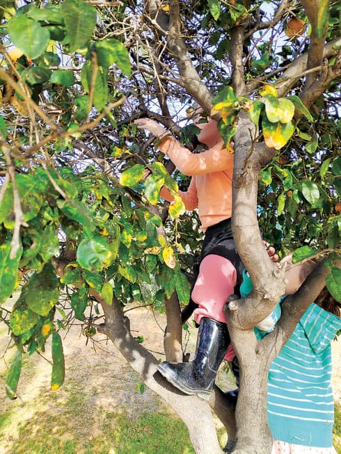 חינוך מחוץ לבית