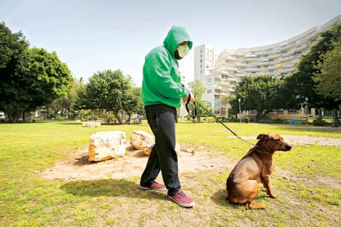 טיול עם הכלב בימי קורונה טיול עם הכלב בימי קורונה