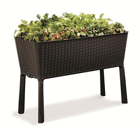 אדנית easy grow, כתר