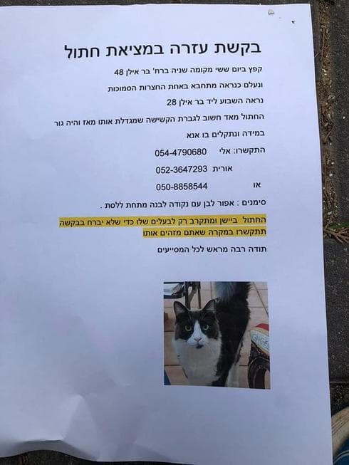המודעה שנתלתה ברחבי העיר (צילום: פרטי) המודעה שנתלתה ברחבי העיר