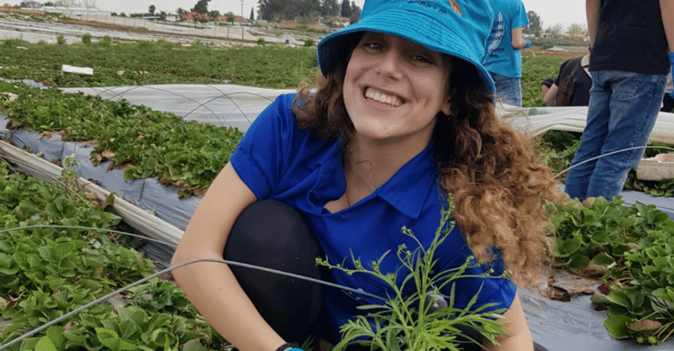ליהיא פיליפ בקטיף ליהיא פיליפ בקטיף