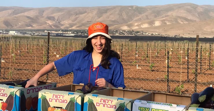 מאיה עמרי מהנוער העובד והלומד, בהתנדבות חקלאית עם החצילים במושב תומר (צילום: הנוער העובד והלומד) מאיה עמרי מהנוער העובד והלומד, בהתנדבות חקלאית עם החצילים במושב תומר