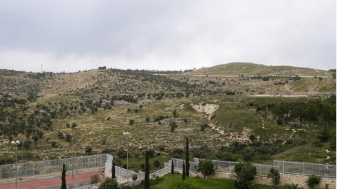 השטח המתוכנן להרחבת הר חומה (צילום: דב גרינבלט, החברה להגנת הטבע) השטח המתוכנן להרחבת הר חומה