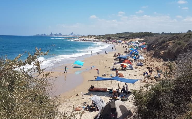 חוף פלמחים