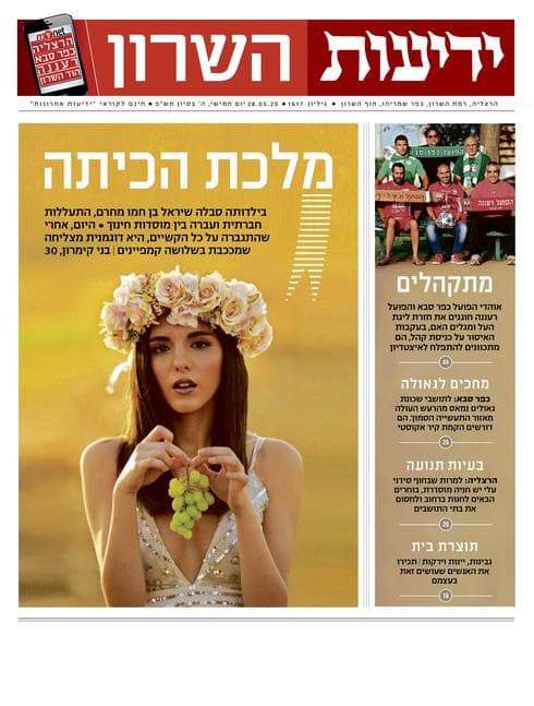 כותרות גיליון החג