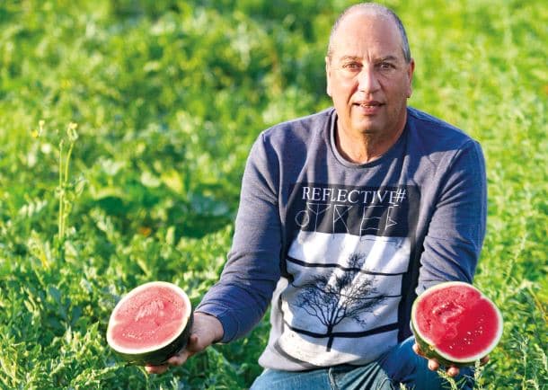 אורי רבינוביץ'