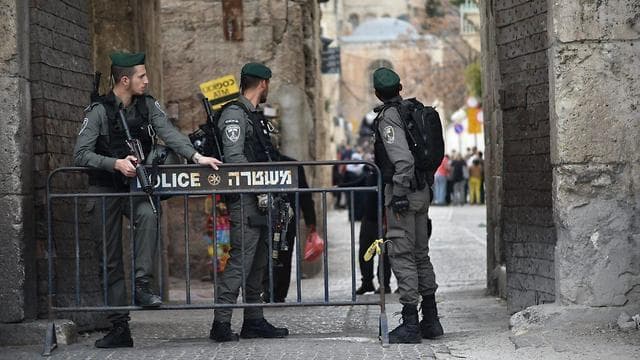 שוטרים בשער האריות