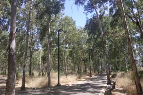 חורשת הסרג'נטים בנתניה