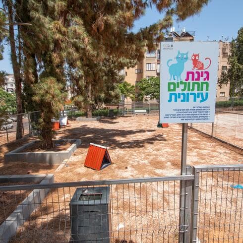 גינת חתולים בגן יהונתן בפתח תקוה