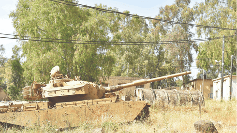 האקליפטוסים במחנה 'ברק' ברמת הגולן