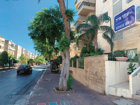 רחוב שנקר רחוב שנקר