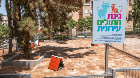 גינת החתולים בפתח תקוה גינת החתולים בפתח תקוה