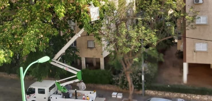 הטיפול בנחיל הדבורים