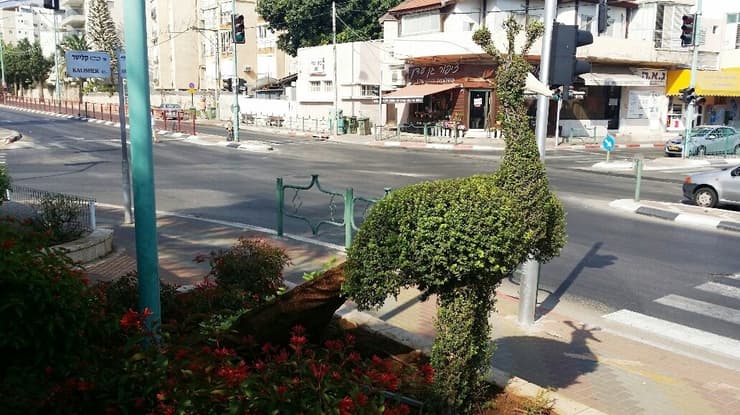 מחנה יהודה פינת קלישר
