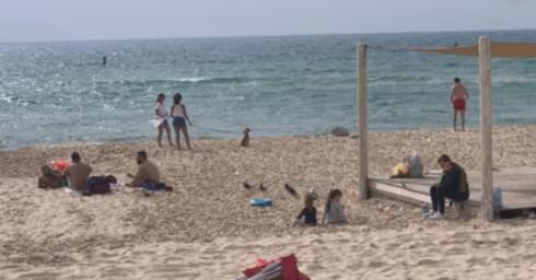 חוף בת ים