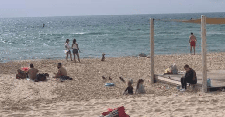 חוף בת ים