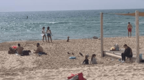 חוף בת ים