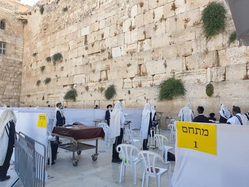 כך נראה הכותל השבוע