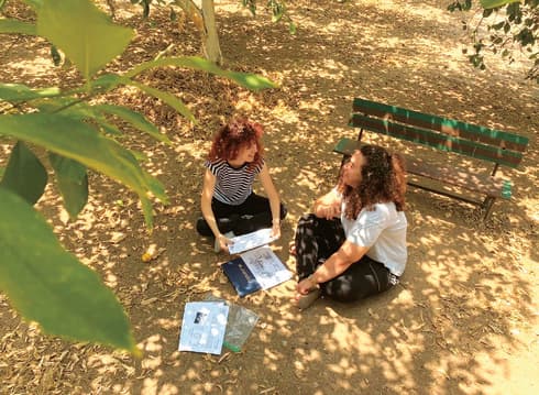 אתר הפרדסנות