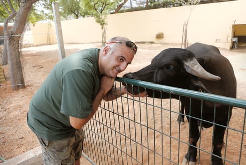 דודו מורד