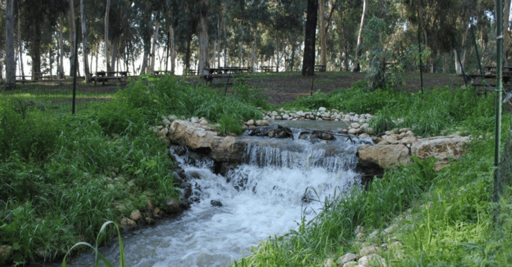 פארק מקורות הירקון