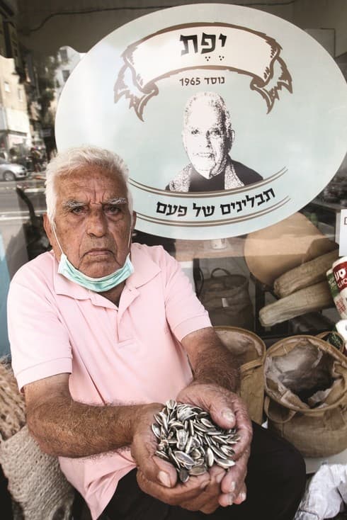 אריה יפת