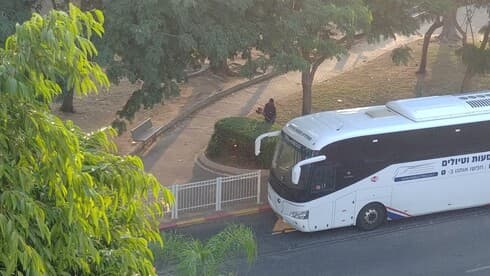 עבודות גינון בפתח תקוה