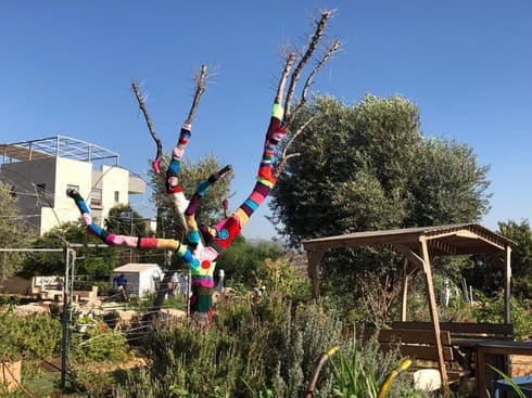 עץ הזית הסרוג