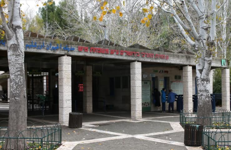 גן החיות התנ"כי