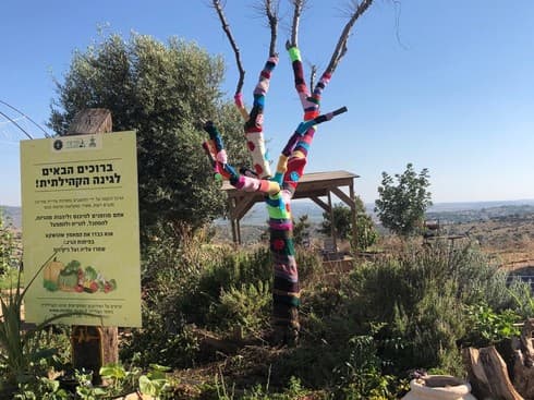 עץ הזית הסרוג