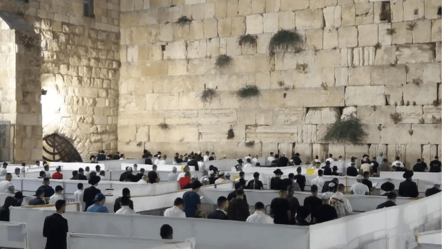 סליחות ראשונות בקפסולות בכותל המערבי